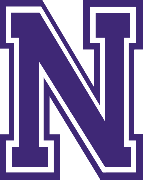 Northwestern State Demons 2000-2007 Alternate Logo t shirts DIY iron ons